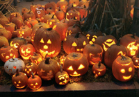 Halloween Pumpkin Festival