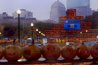 Visit a Pumpkin Festival for Halloween